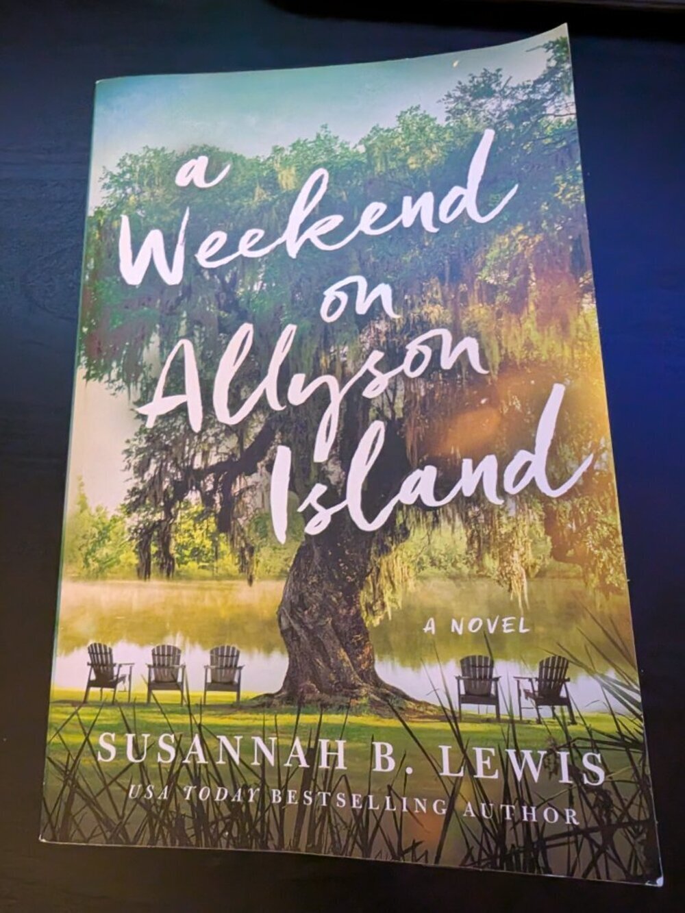 A Weekend On Allyson Island By Susannah B. Lewis Paperback Book EUC